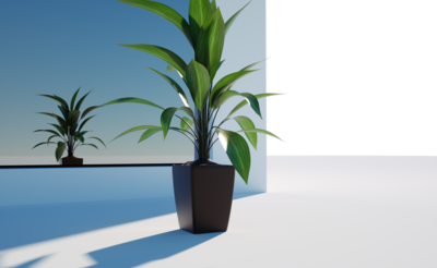 plant.png