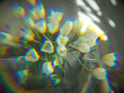 DISPERSION 0.1