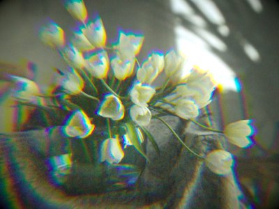 DISPERSION 0.05