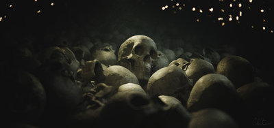 uploaded_skulls_v01.0006.a.cd.jpg