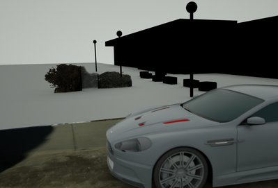 IPR_image alpha on bushes.jpg