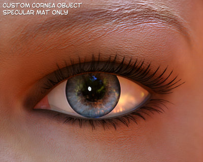 eye_cc.jpg