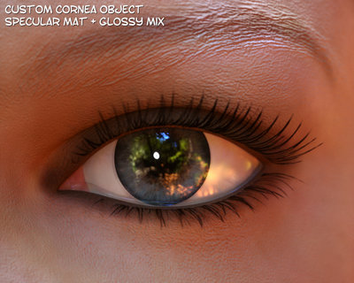 eye_cc_spgl.jpg