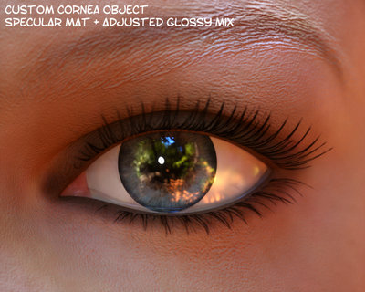 eye_cc_spgl_adj.jpg