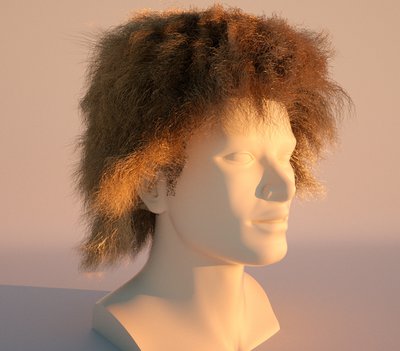 hair2.jpg
