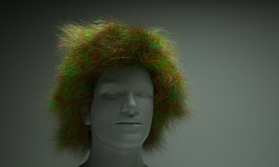 hair4.jpg