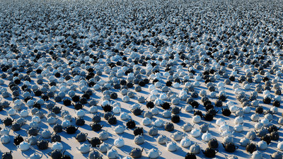 Random Color Texture