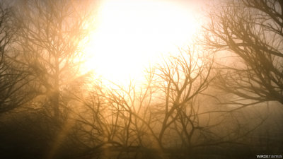 FoggyForestFIN.jpg