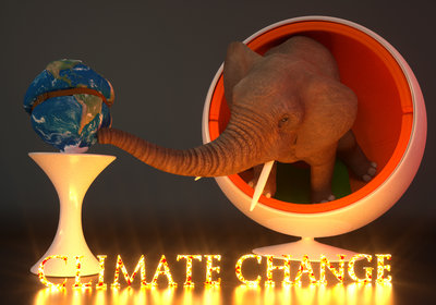 Elephant_In_The Room_Fire_JPG.jpg