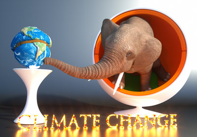 Elephant_In_The Room_JPG.jpg