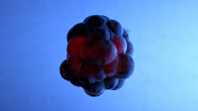 cell_2_0227.png
