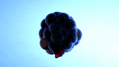 cell_2_0141.png