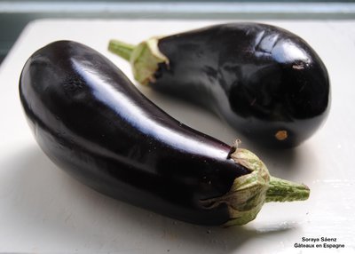 recette_aubergines_frites_faire_enfants_manger_legumes.jpg