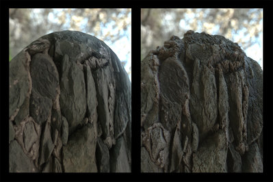 OctaneRender2_Preview_Displacement.jpg