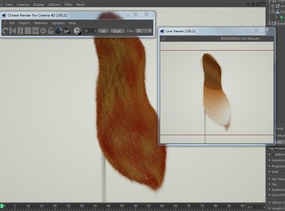 Expected output for hairs