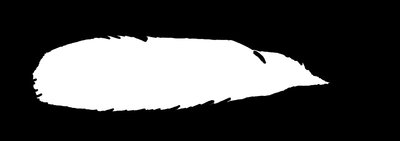 feather mask.jpg