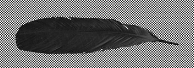 feather2.jpg