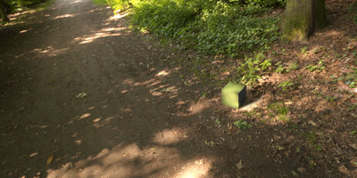 COMPOSITE Crop.jpg