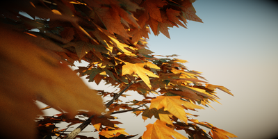 accidental normal.png