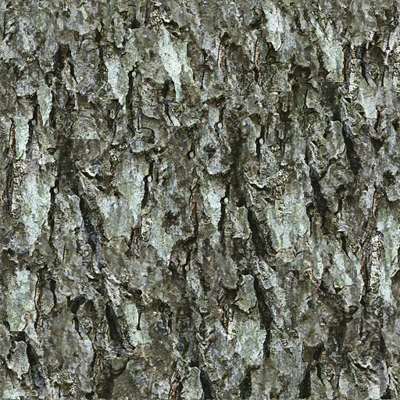 Wood03.png