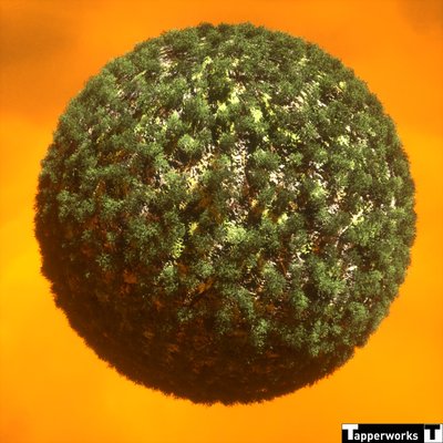 Tapperworks-GreenGlobeOrangeSoup.jpg