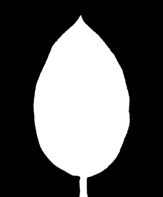 leaf_opacity_1024.jpg