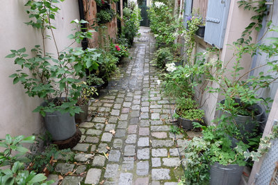 DSCF4487.jpg