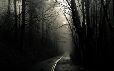 gothic forest.jpg