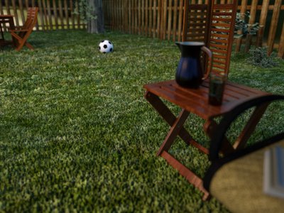 Backyard grass updated