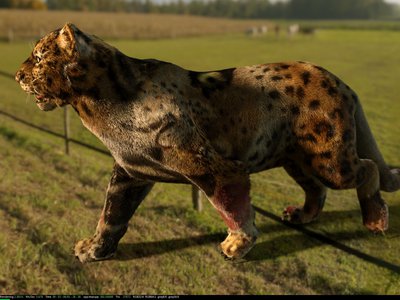 tiger.jpg