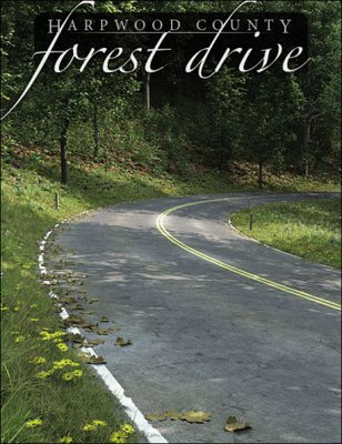 Forest Drive Daz product
