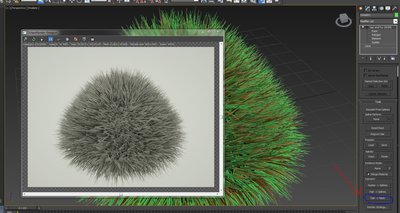 fur.JPG