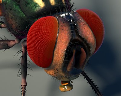render18_4Kcrop.jpg