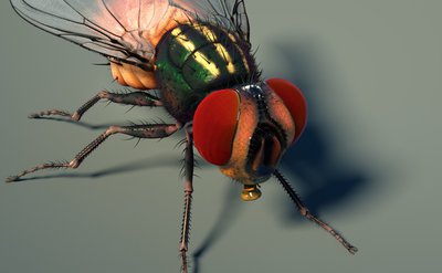 render18_4K.jpg