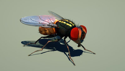 render15_HD copy.jpg