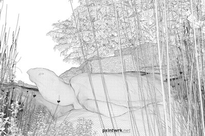 PXLNTWRk_[DESIGN]x035-2_wireframe.jpg