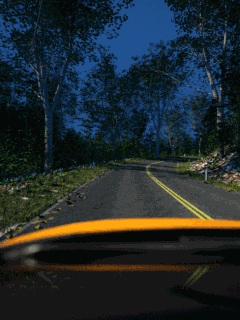 Howie Forest test