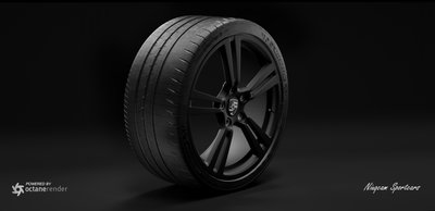 MICHELIN PILOT SPORT CUP 2 WEB1.jpg