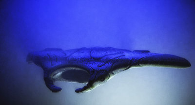 b6.jpg