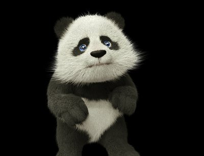 panda_01.jpg