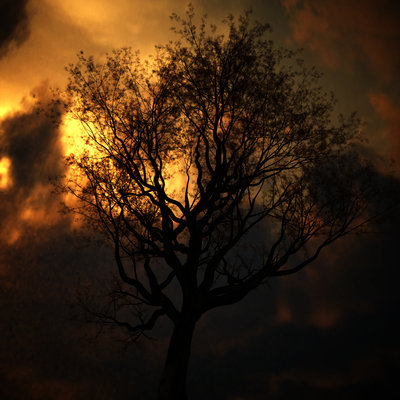 dusk.jpg