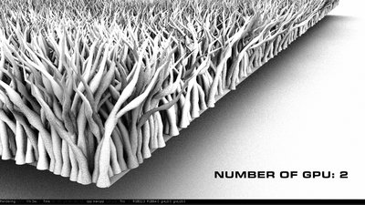 number of GPU: 2