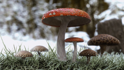 shroom2_octane_web.jpg