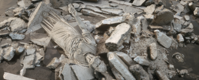 Ground_Anim_v02_0180.png