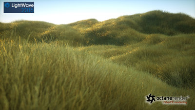 FFX_grass_Octane_LW2015.jpg