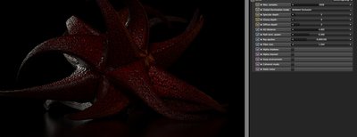 Schermata 2014-11-26 alle 10.42.07.jpg