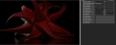 Schermata 2014-11-26 alle 10.42.35.jpg