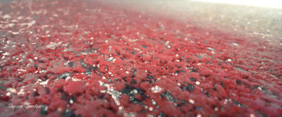 TEST ASPHALTE 4.jpg