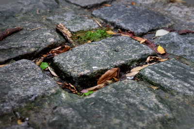 Streettest01_002cc2_cc.jpg