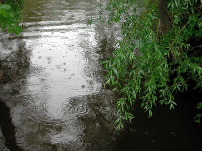 rainy.jpg